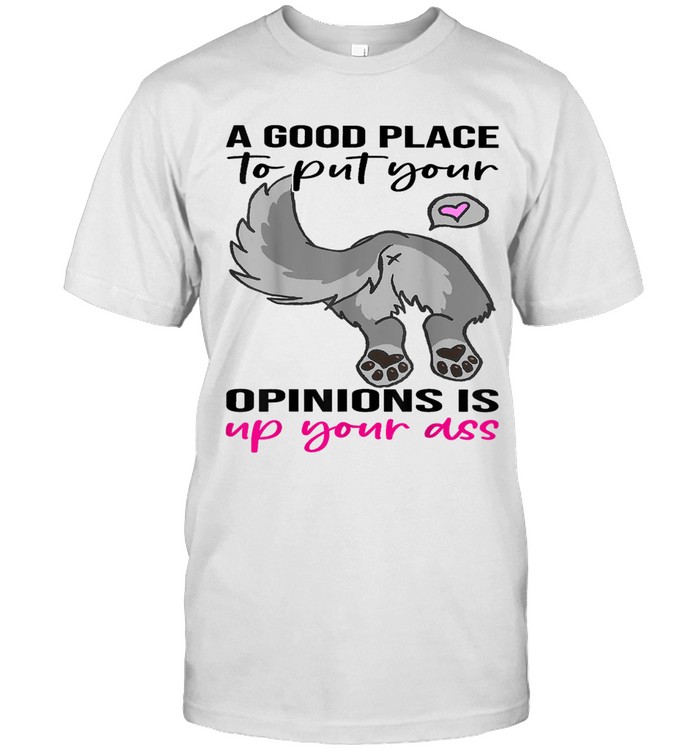 A good place to put your opinions is up your ass.